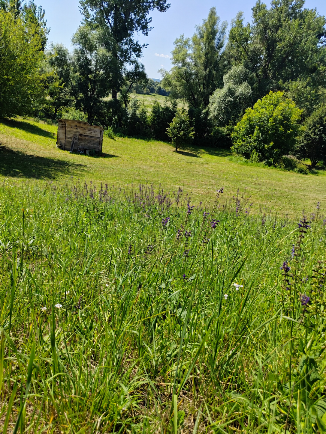 1 244 m² priestoru pre vaše sny | Prešov – Kúty